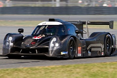 2019-Roar24-Document Name-0023